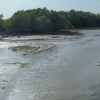 mangroventour_012_20130307-p1020167